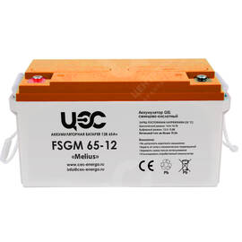 Аккумуляторная батарея серии FSGM 65-12
