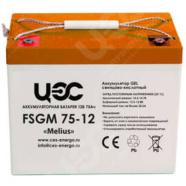Аккумуляторная батарея серии FSGM 75-12