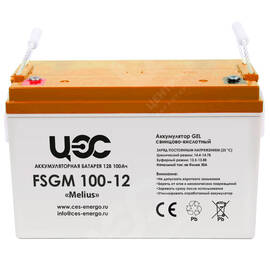 Аккумуляторная батарея серии FSGM 100-12